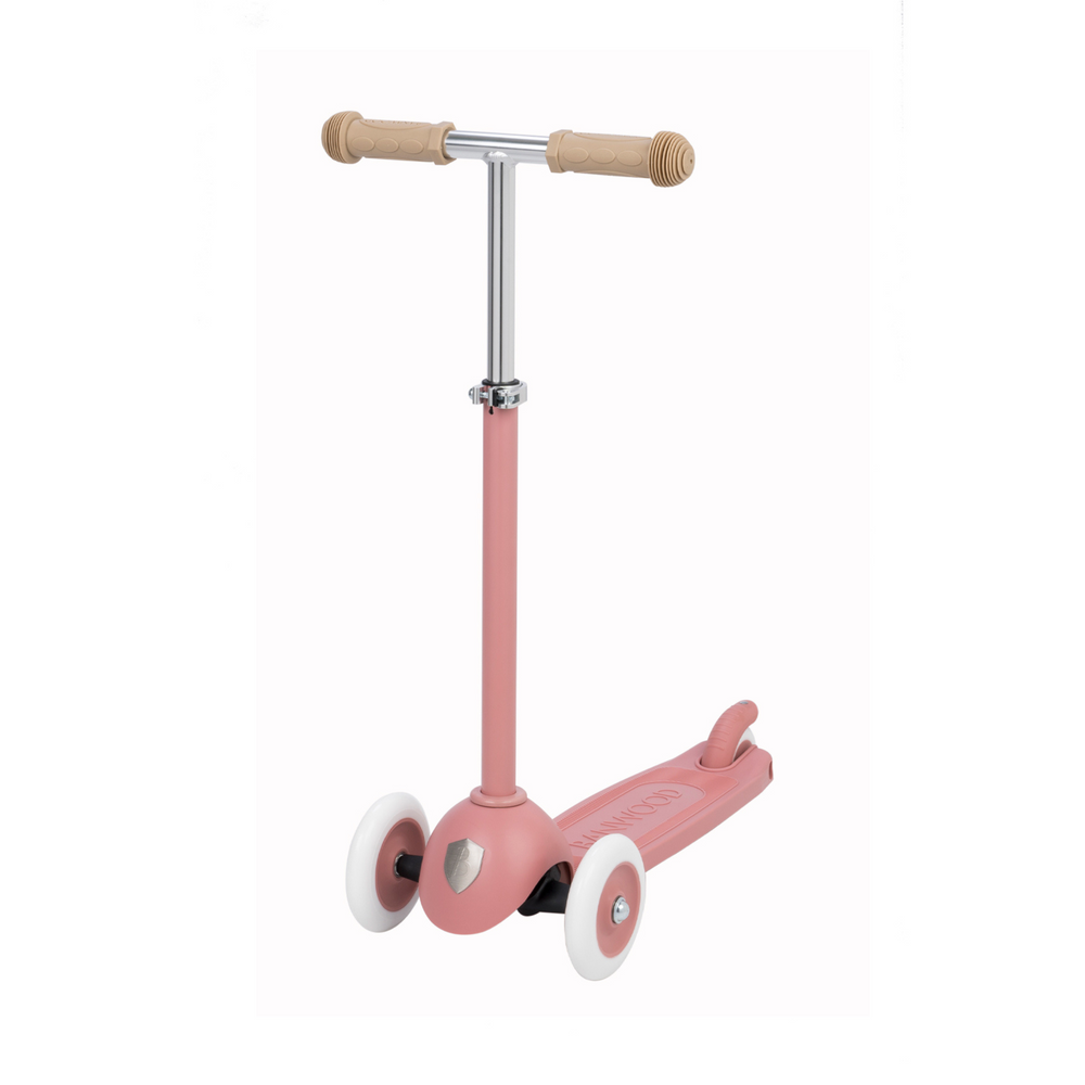 Eco Scooter - Raspberry