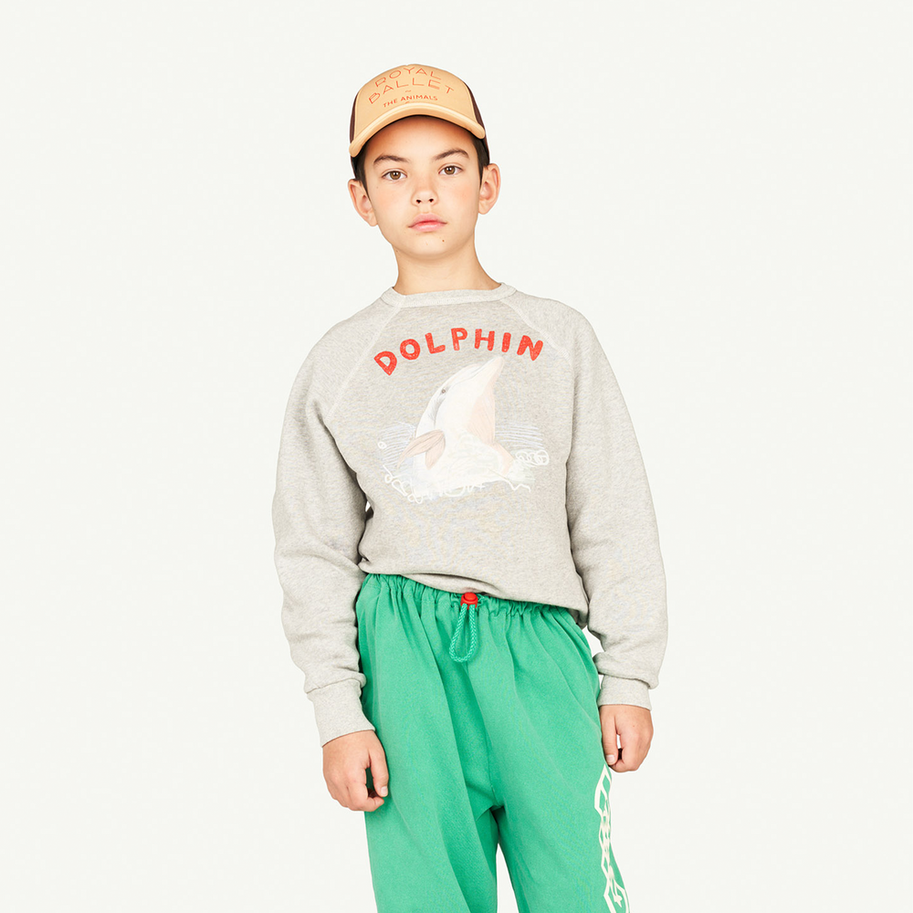 Shark Kids Sweatshirt - Dolphin