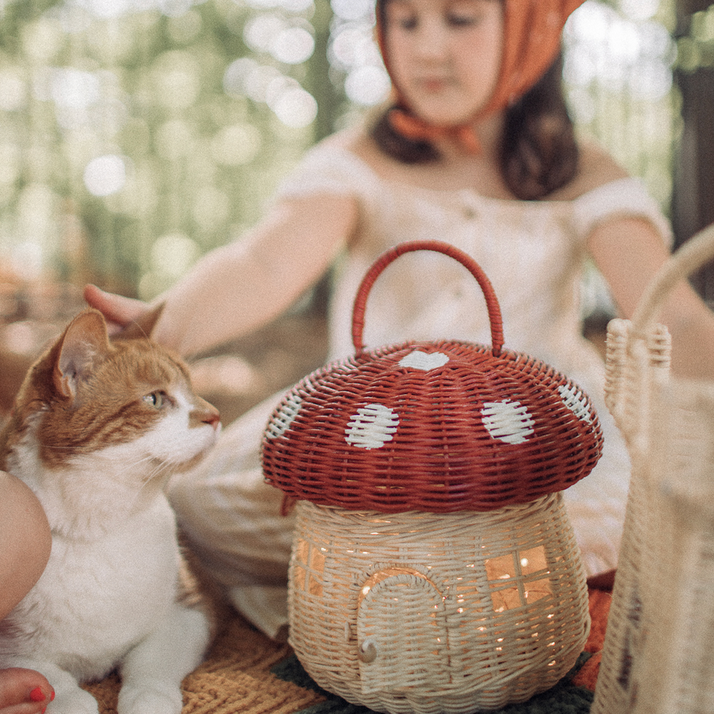 Rattan Mushroom Basket