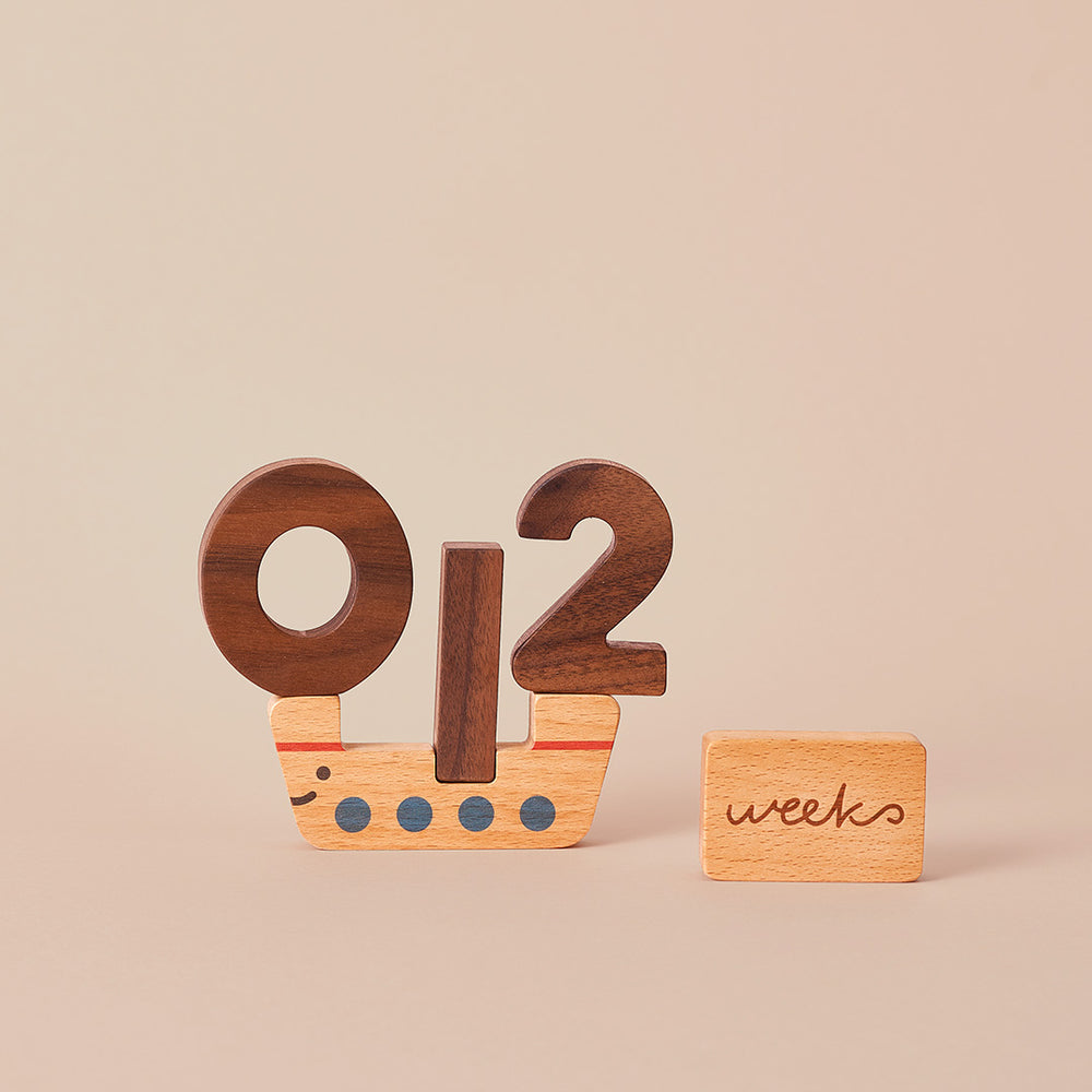 Numbers Play Block Set