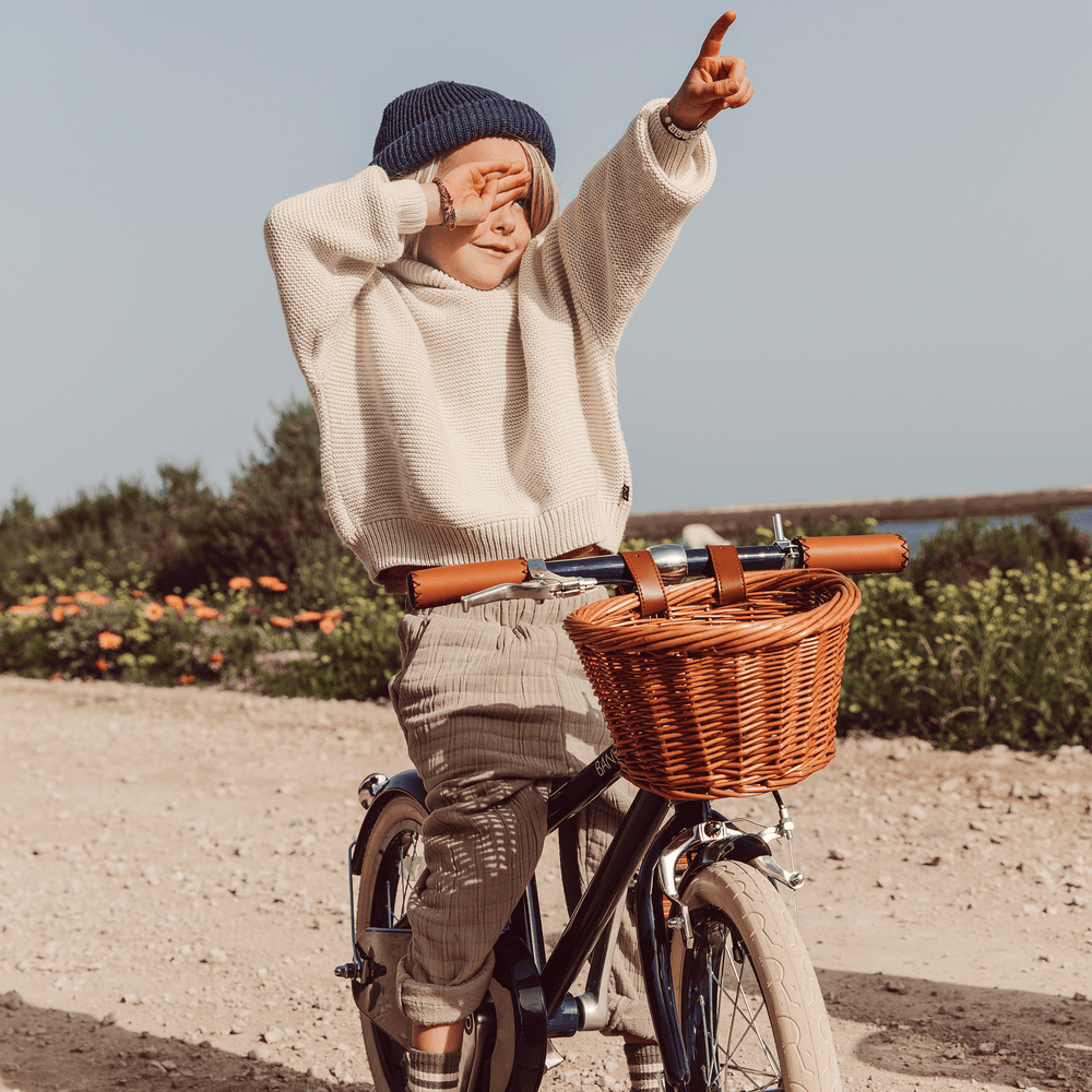 Classic Bicycle