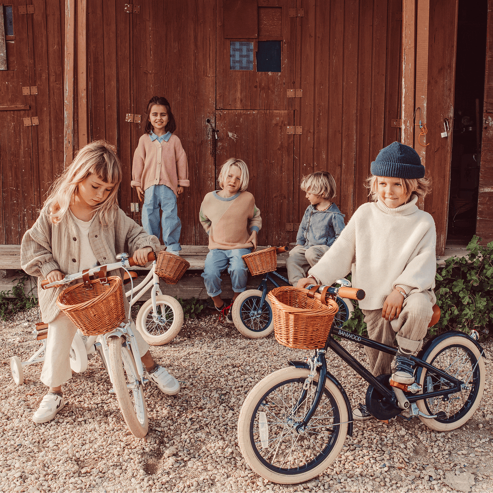 Classic Bicycle