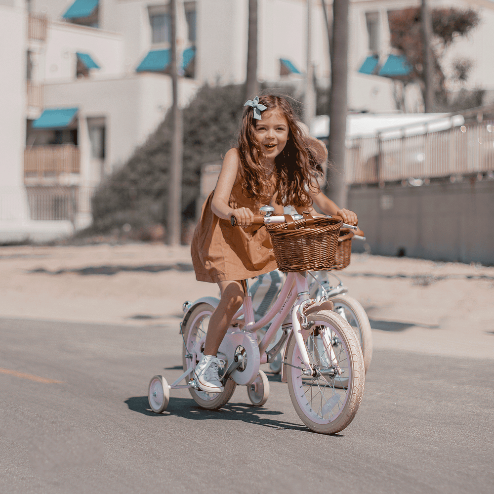 Classic Bicycle