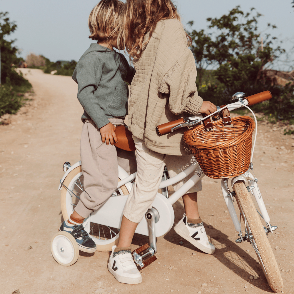 Classic Bicycle