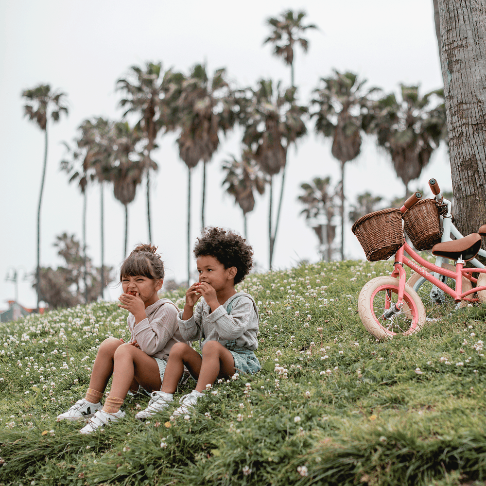 First Go Balance Bike - Sky
