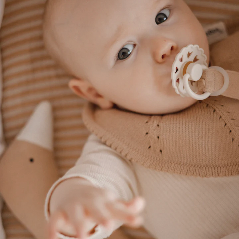 Cuddle Cloth Goose - Bliki - Clay